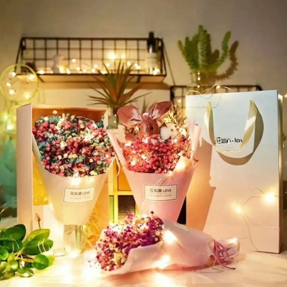 10 STKS Groothandel 5 m ~ 1 m  - Led Fairy String Lights recensie en prijs