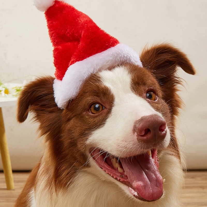 Hond Katten Hoed Kerstversieri - Santa Hat Plush recensie en prijs